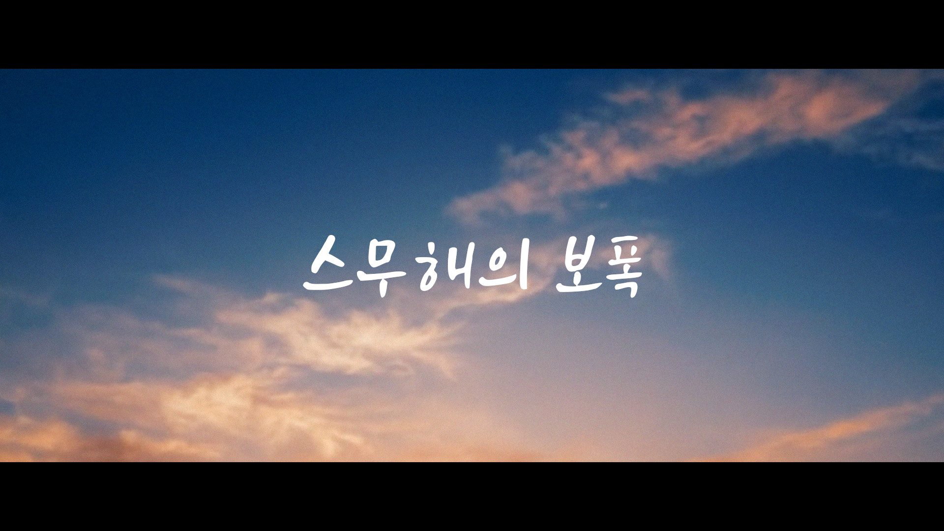 스무해의 보폭